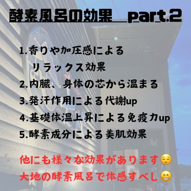 酵素風呂を知っていますか？ 酵素風呂を知っていますか？: 中古 | 岡崎保 | 古本の通販なら